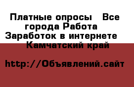 Платные опросы - Все города Работа » Заработок в интернете   . Камчатский край